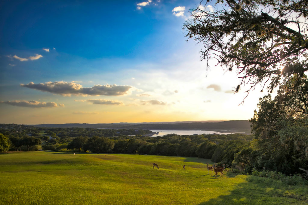 Lago Vista, TX Risé Johns
