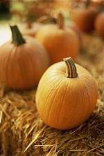 The 1st Annual Lake Havasu Pumpkin Festival takes place next to the Aquatics Center October 26-28, 2012.