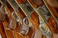 The Lake Havasu Firearms Show 2016 features modern as well as antique guns, a variety of knives, collectibles coins, leather goods and jewelry.