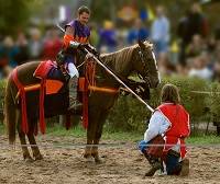 Celebrate our City's English connection by visiting the Havasu Renaissance Faire 2017 on January 6th-8th. Street performers, hearty food & lots of laughs.