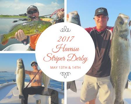 Attention fishermen! Show off your skills out on the lake May 13th & 14th by entering the 2017 Havasu Striper Derby. Several options to win big $$!