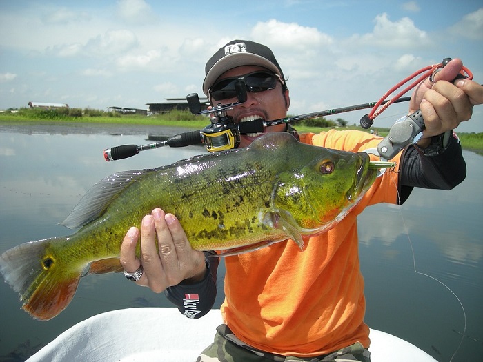 For some family-friendly fun, add a little fish and zip to your weekend schedule this March. Two great Havasu spring events take place over the next two weekends at the lake: the Wild West Bass Tournament weigh-in and the JetJam PWC races. Both are free for spectators!