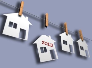 Find out what the most common home buyer mistakes are so you can avoid them when purchasing your next Lake Havasu property. Liz Miller Lake Havasu Az Real Estate