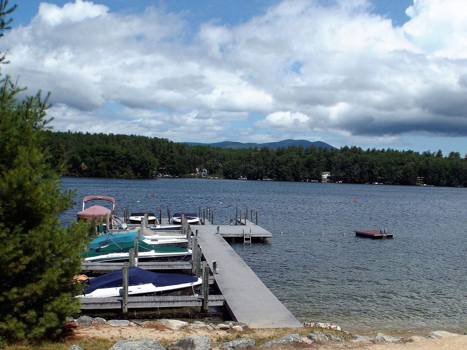 Center Harbor, New Hampshire Lynn Durham