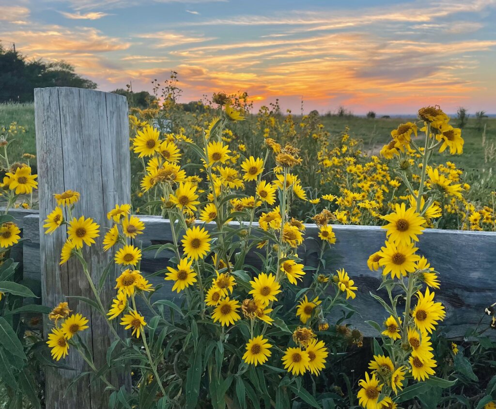 The Ad Astra Group Where Professionalism Meets Integrity and Expertise