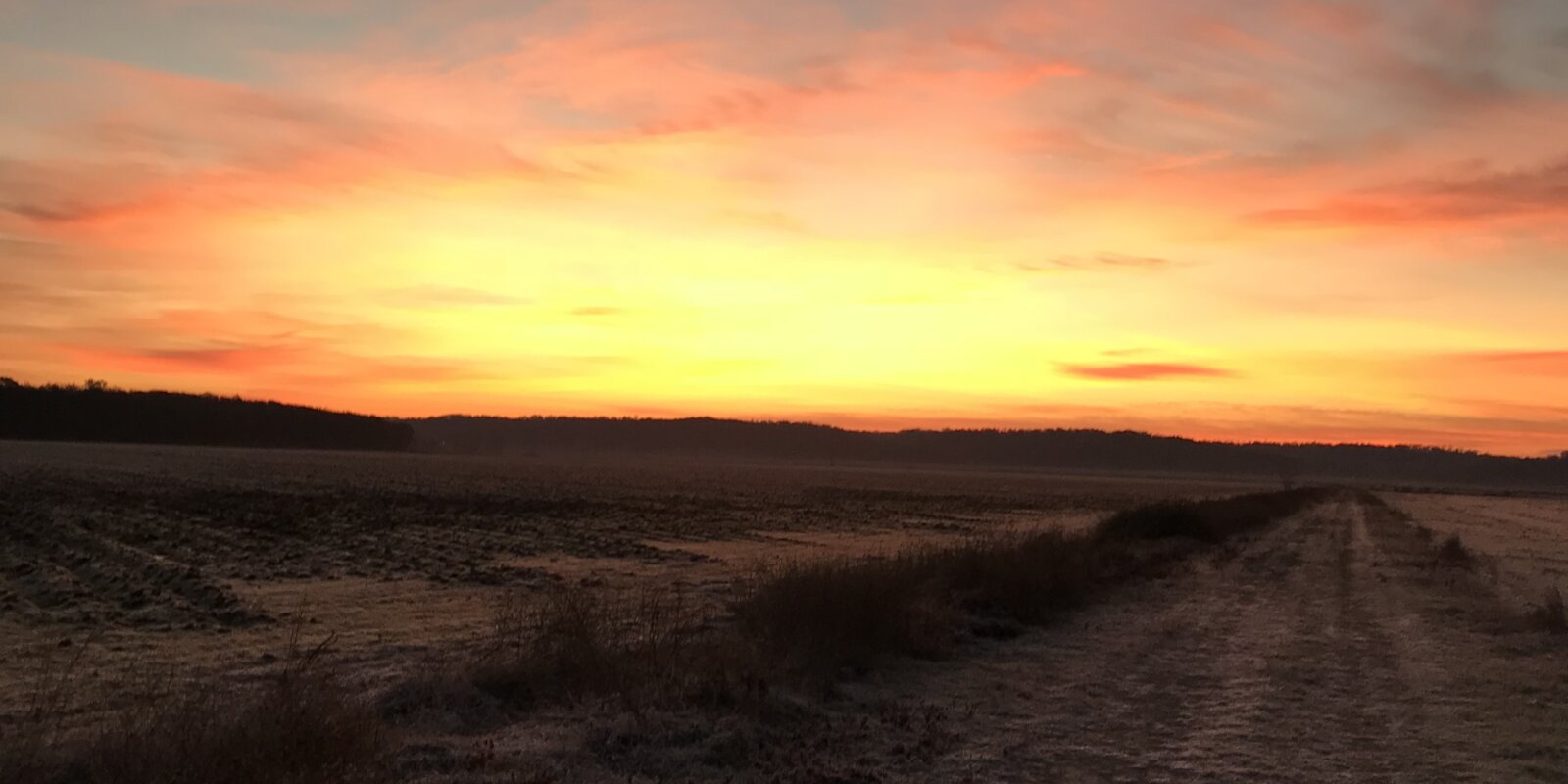 Madison County MS Real Estate Lynn Realty Land & Homes