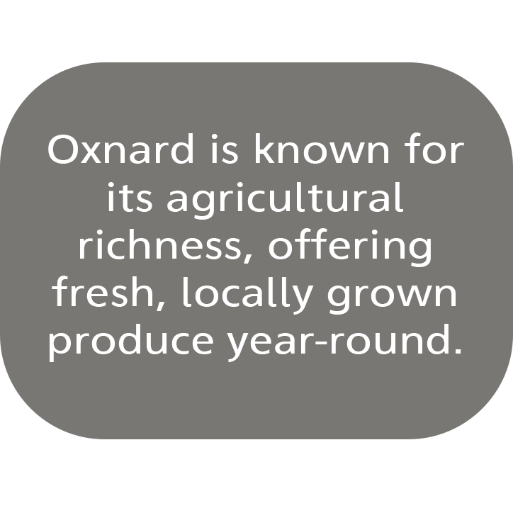 Known for its agricultural richness