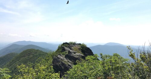 Andrea Reeves West Jefferson Nc Creston Three Top View The Outbound