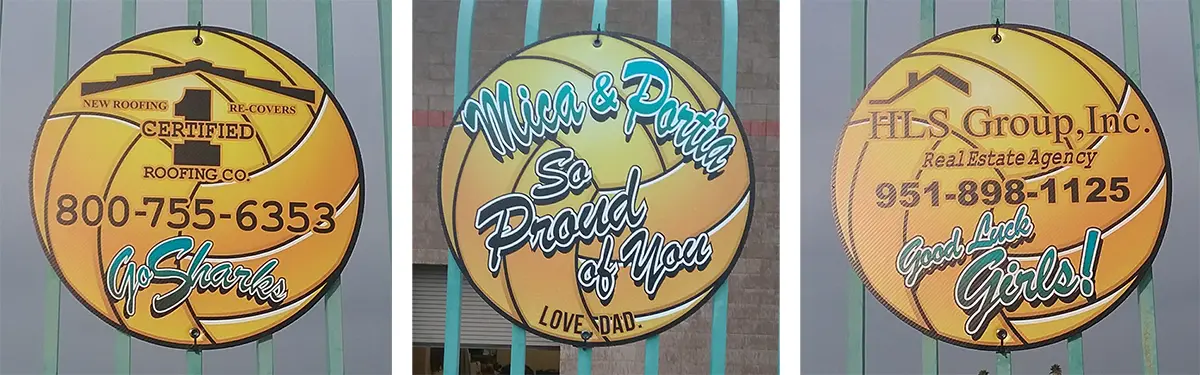 Ralph D Schiavone Corona Ca 3 Balls