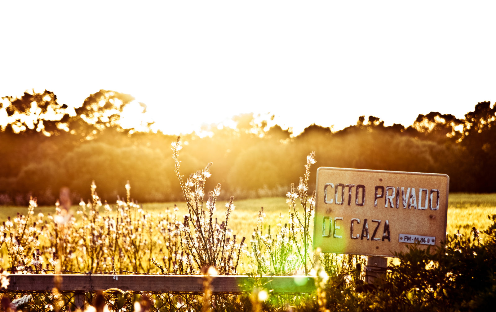 coto-de-caza-california-vantage-real-estate